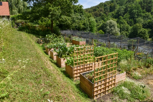 Kornelija Benyovsky Šoštarić