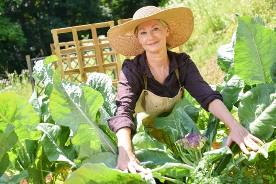 Kornelija Benyovsky Šoštarić