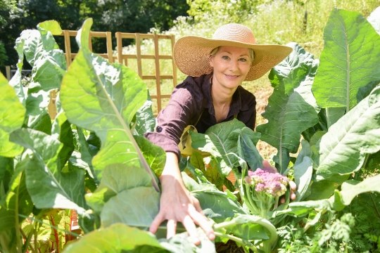 Kornelija Benyovsky Šoštarić