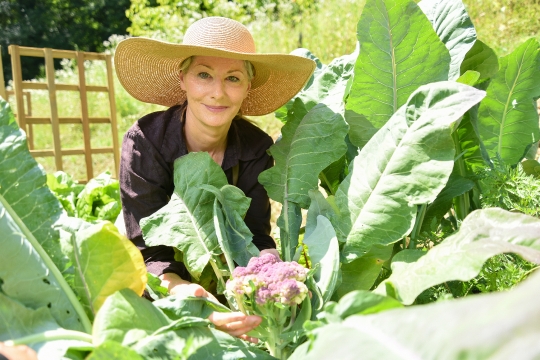 Kornelija Benyovsky Šoštarić