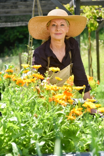 Kornelija Benyovsky Šoštarić