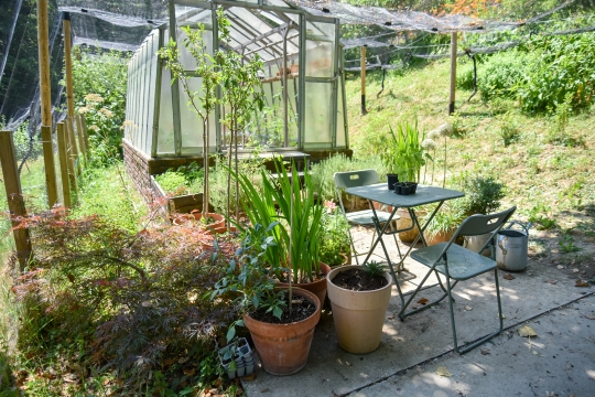 Kornelija Benyovsky Šoštarić