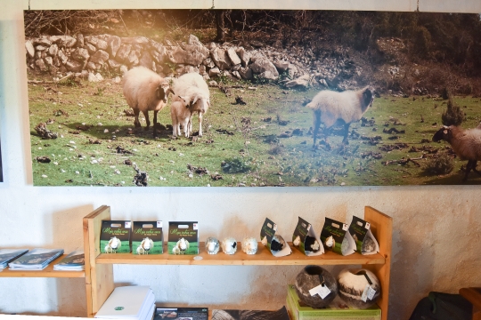 Muzej ovčarstva