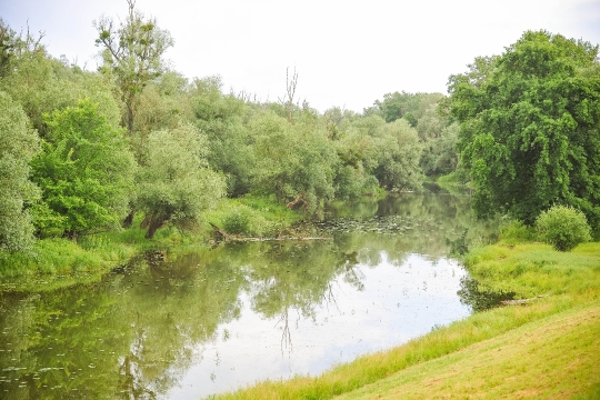 Zlatna greda adrenalinski park